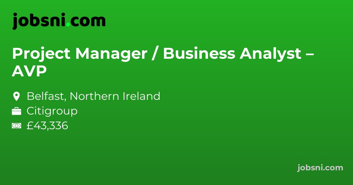 Project Manager / Business Analyst – AVP