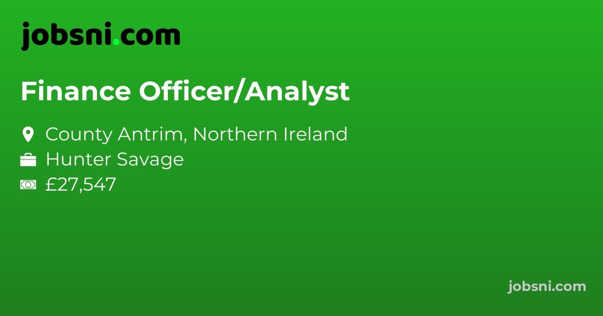 Finance Officer/Analyst