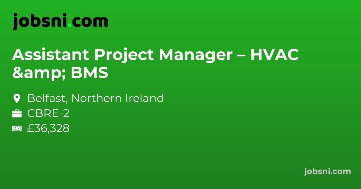 Assistant Project Manager – HVAC & BMS