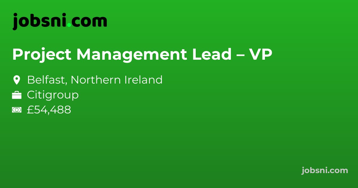 Project Management Lead – VP