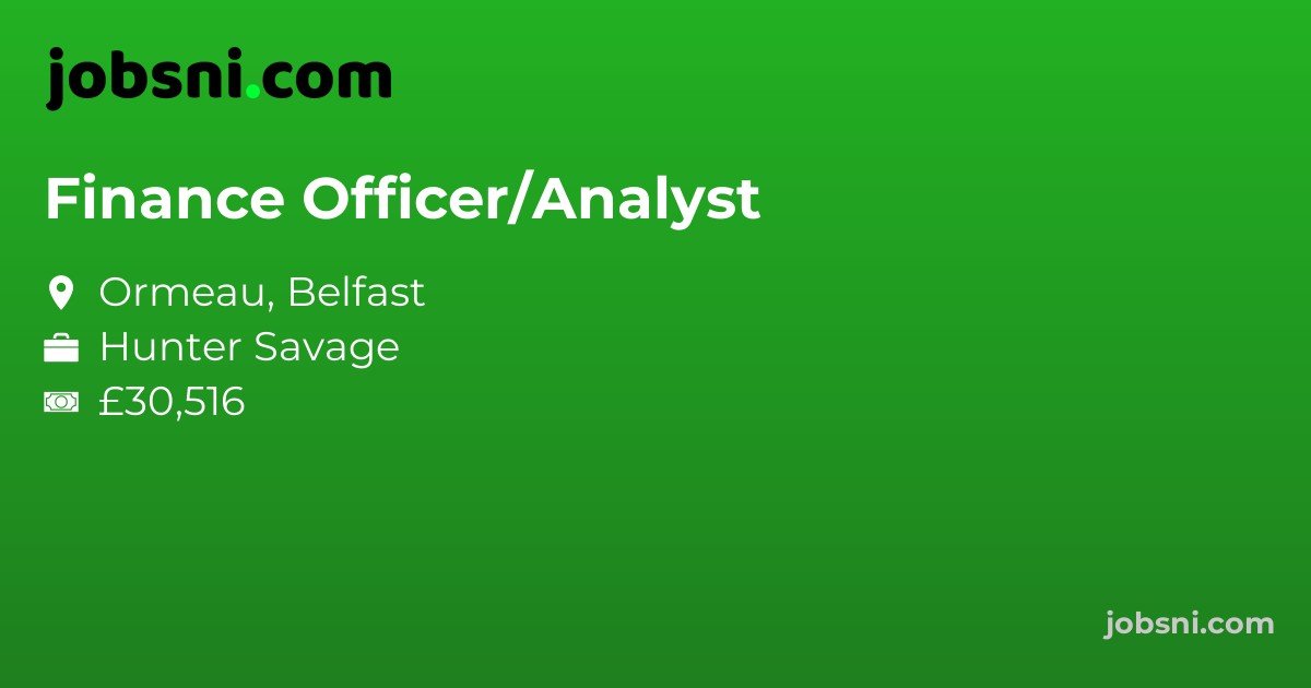 Finance Officer/Analyst