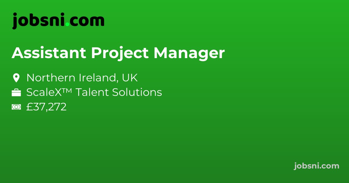 Assistant Project Manager