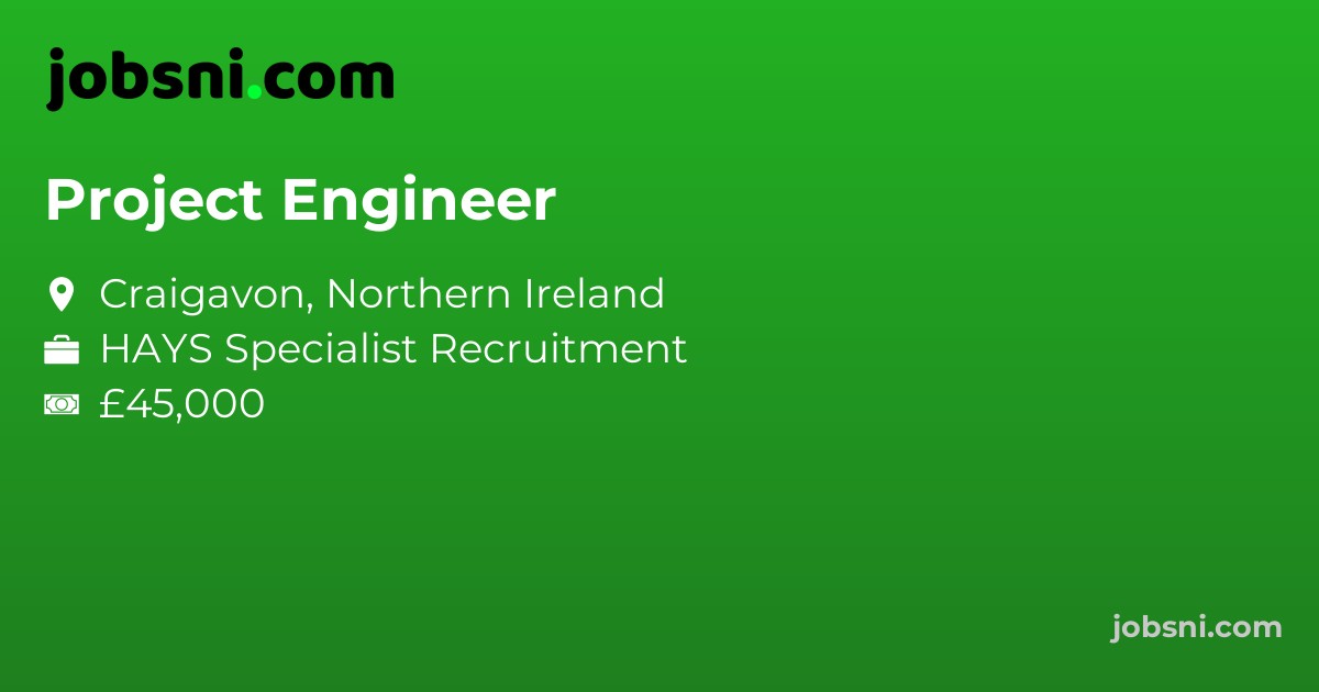 Project Engineer