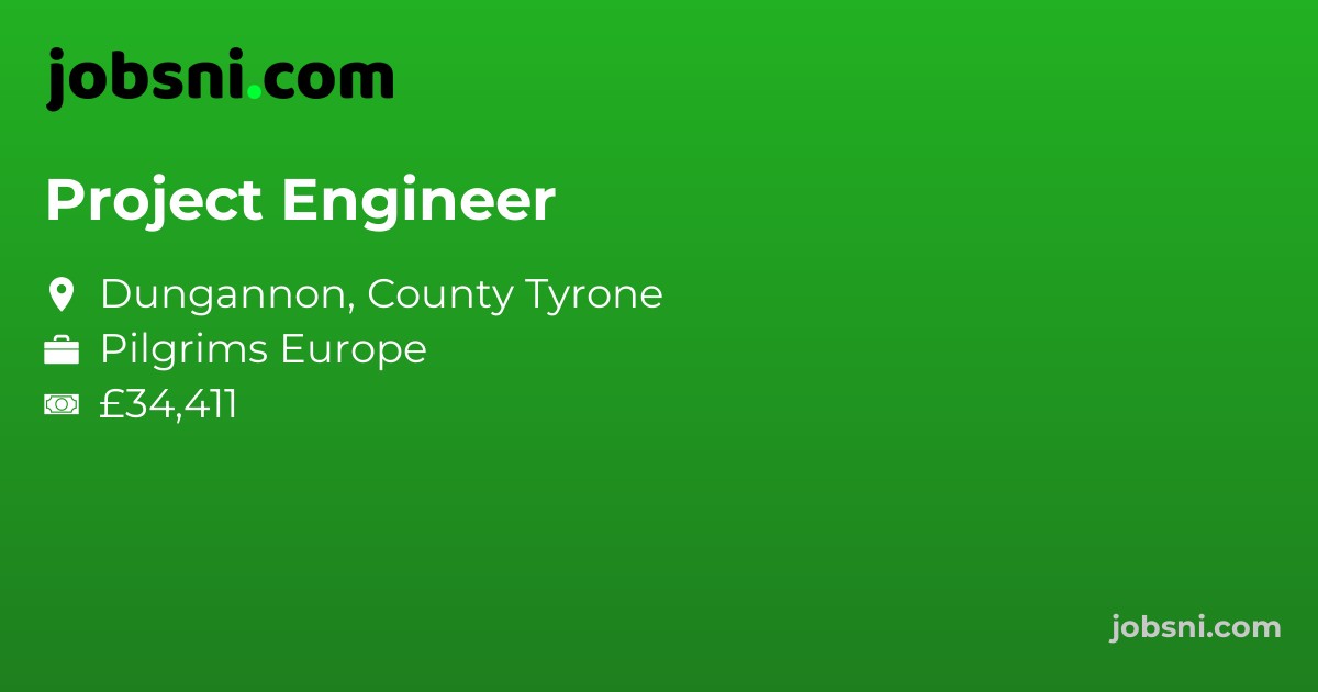 Project Engineer