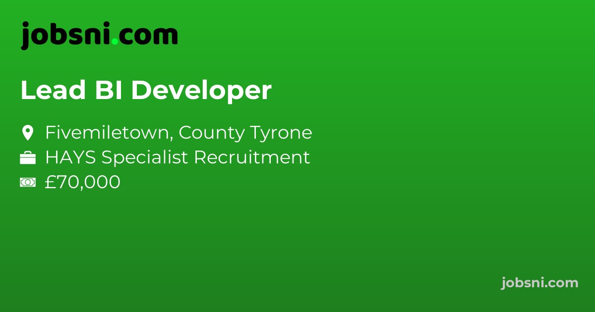 Lead BI Developer