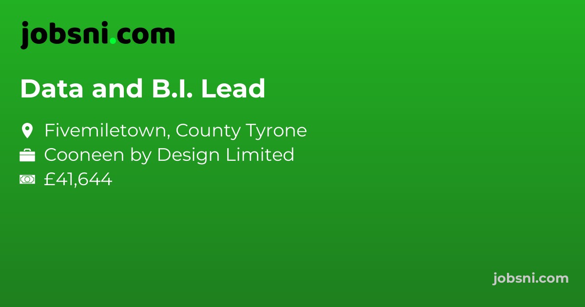 Data and B.I. Lead