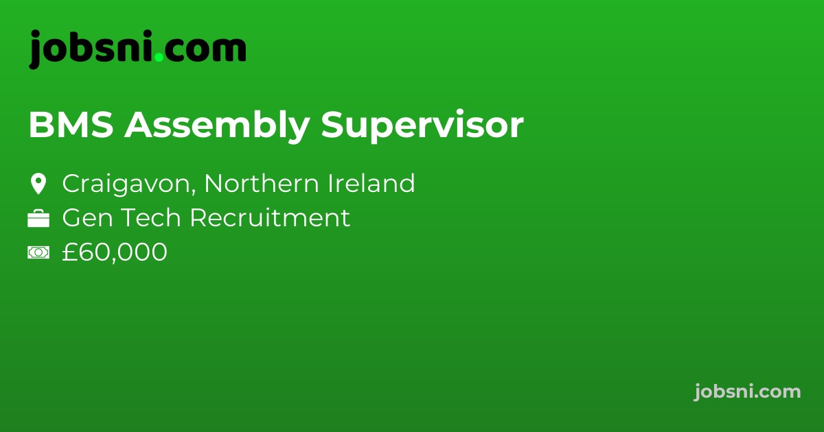 BMS Assembly Supervisor