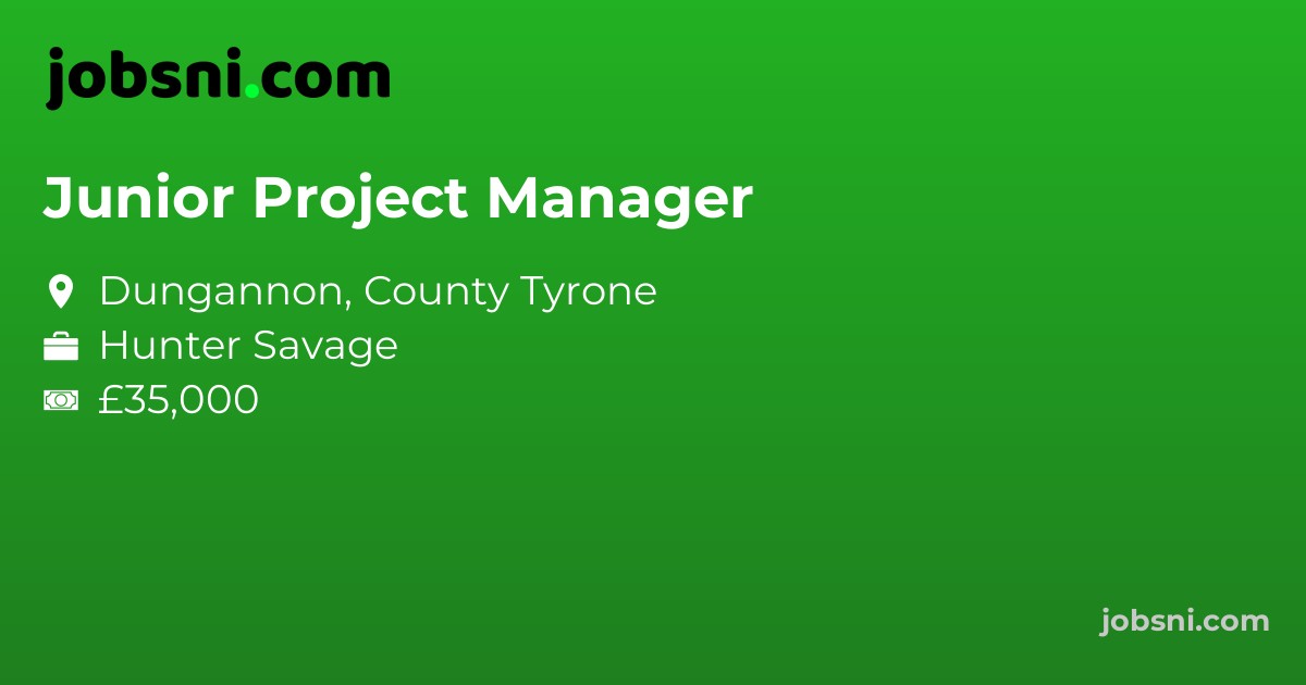 Junior Project Manager
