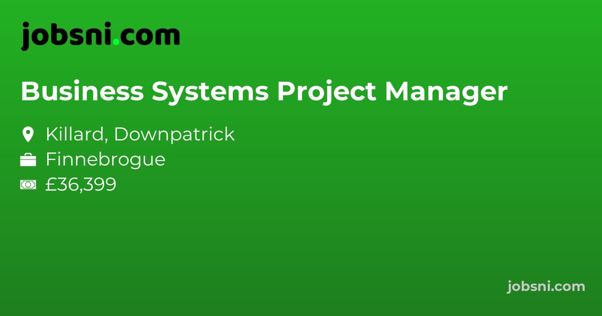 Business Systems Project Manager