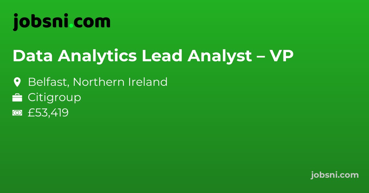 Data Analytics Lead Analyst – VP