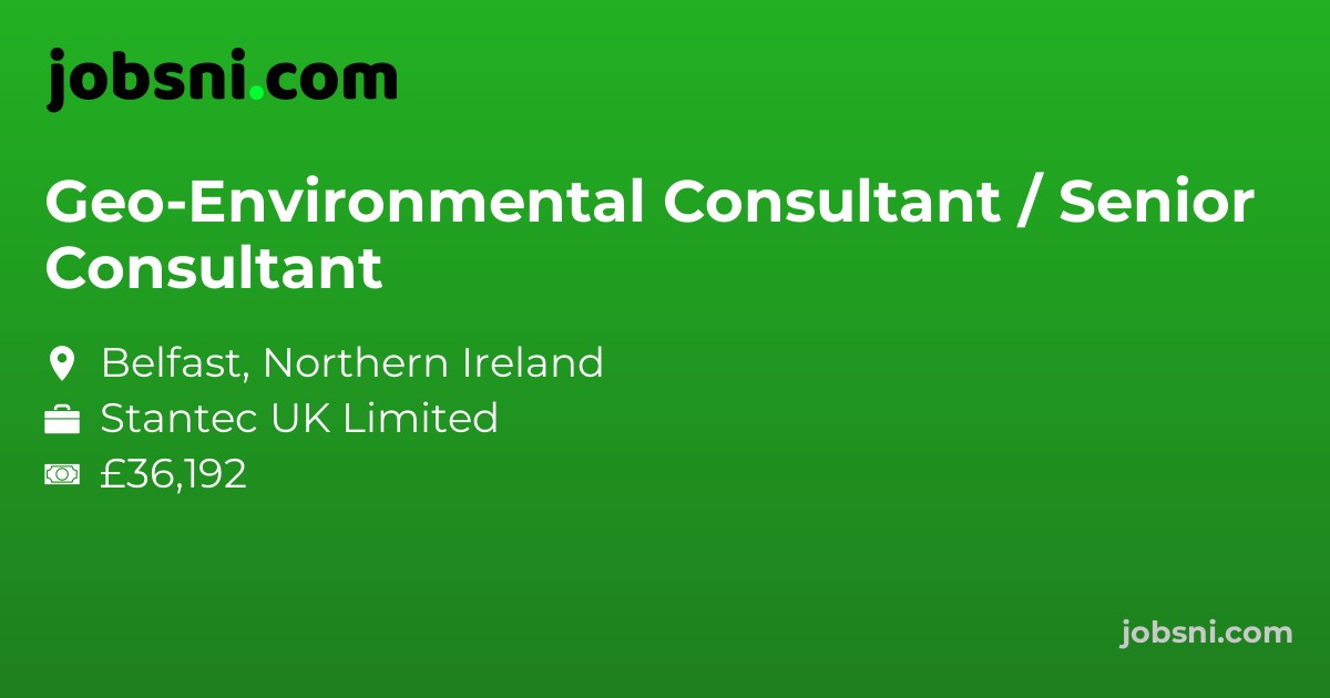 Geo-Environmental Consultant / Senior Consultant