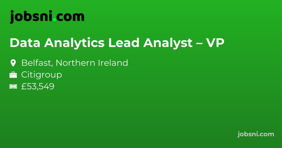 Data Analytics Lead Analyst – VP