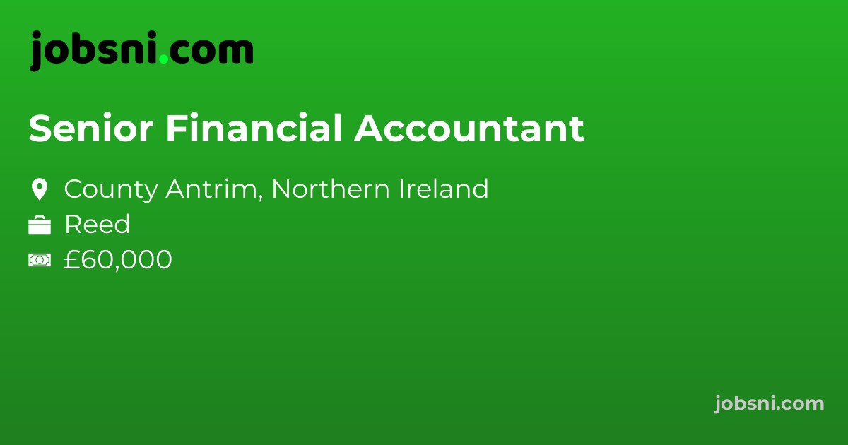 Senior Financial Accountant
