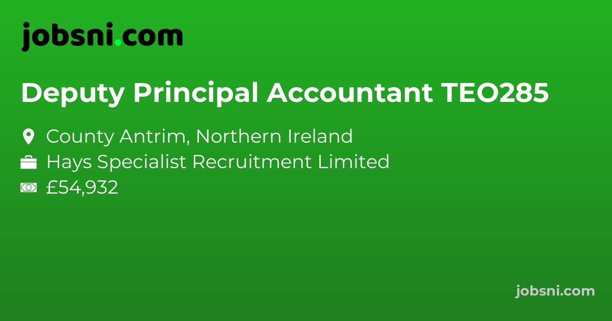 Deputy Principal Accountant TEO285