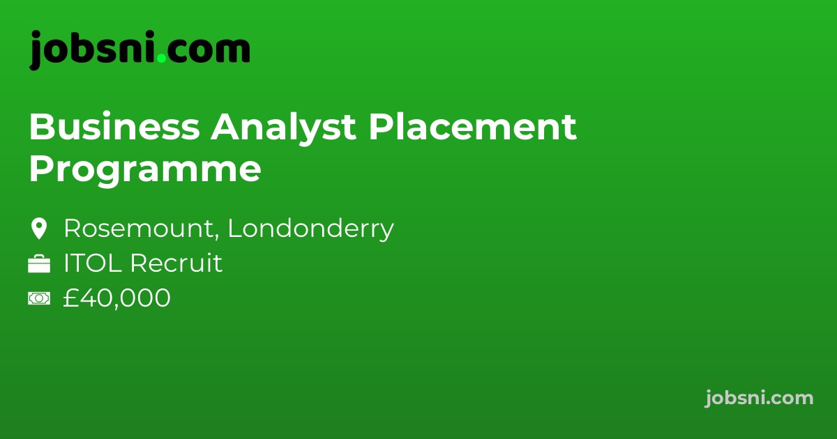 Business Analyst Placement Programme