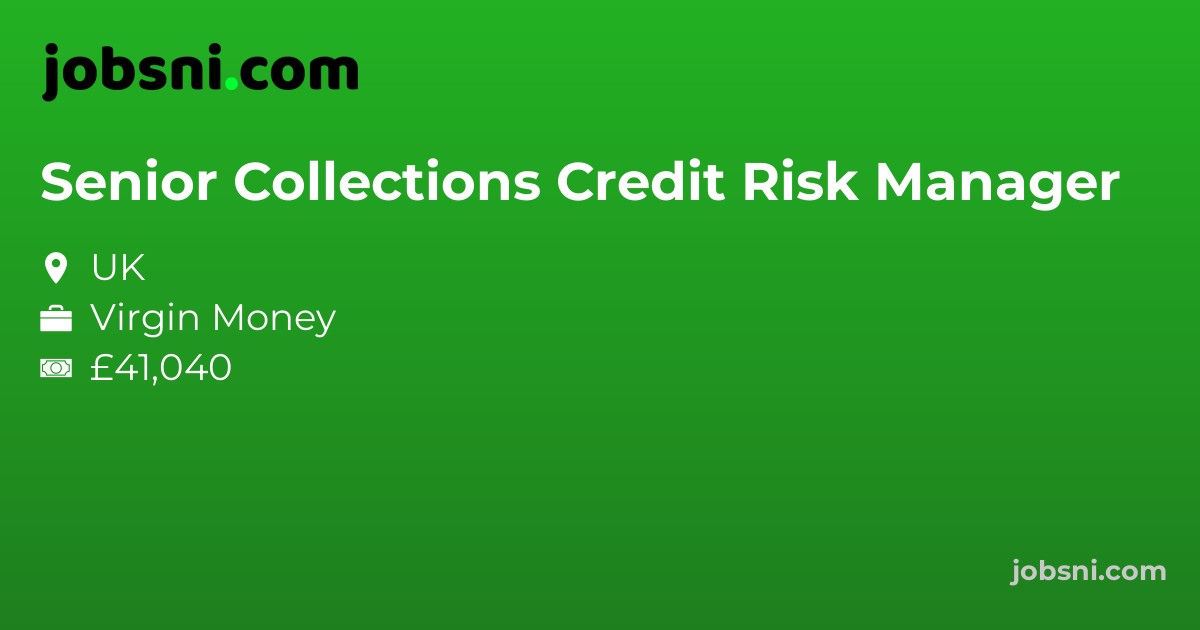 Senior Collections Credit Risk Manager