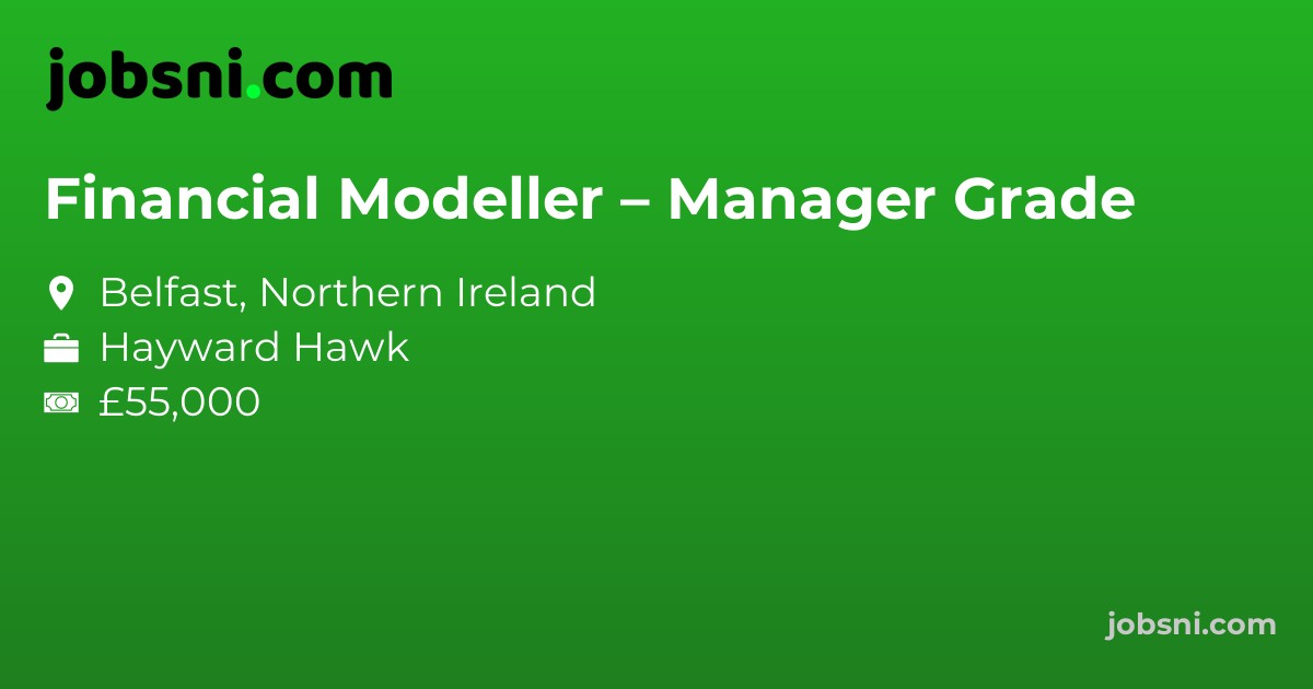 Financial Modeller – Manager Grade