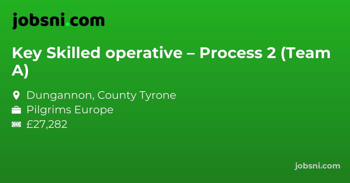 Key Skilled operative – Process 2 (Team A)