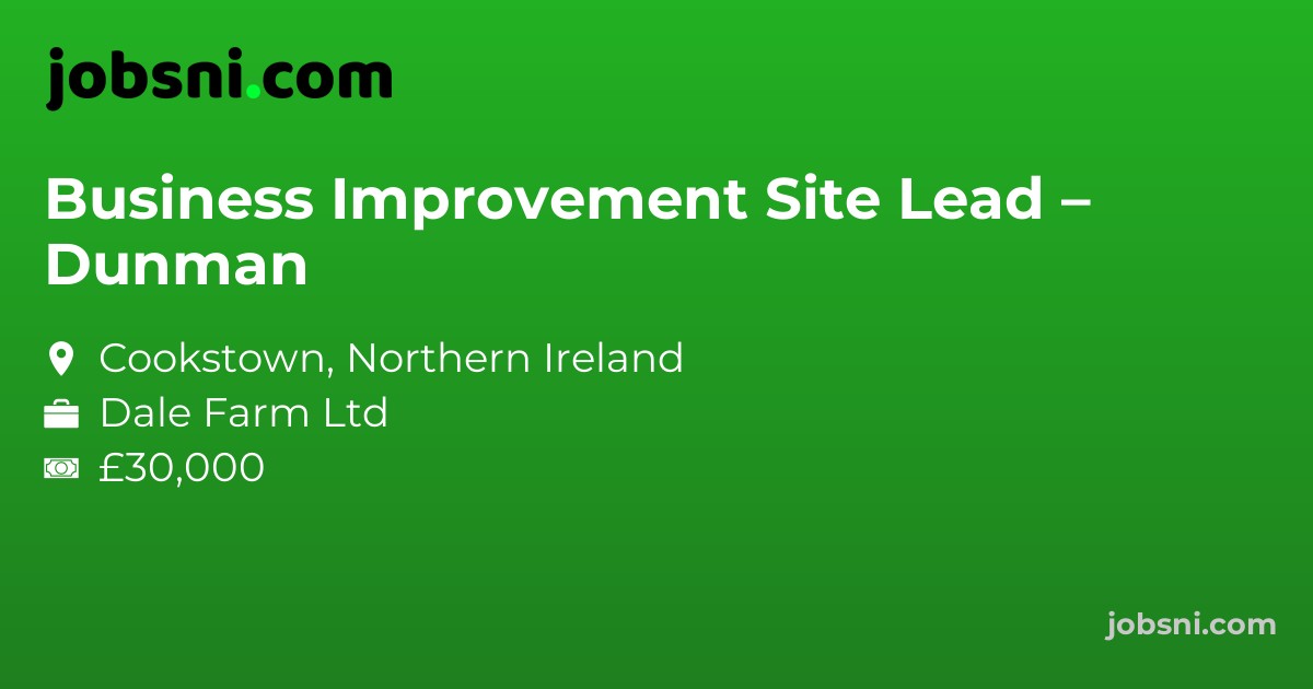 Business Improvement Site Lead – Dunman