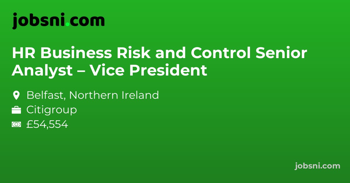 HR Business Risk and Control Senior Analyst – Vice President