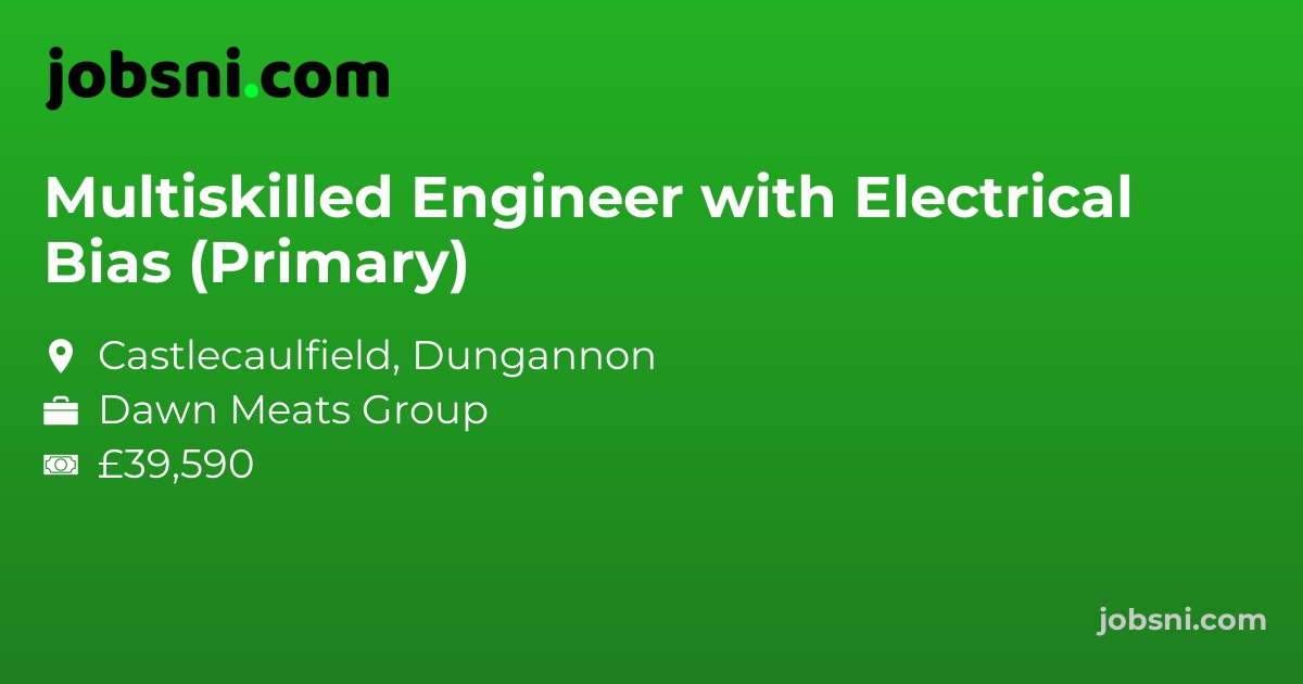 Multiskilled Engineer with Electrical Bias (Primary)