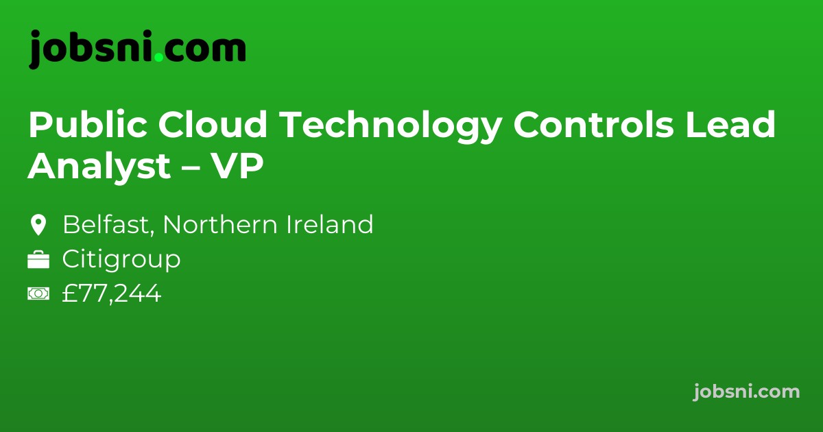 Public Cloud Technology Controls Lead Analyst – VP