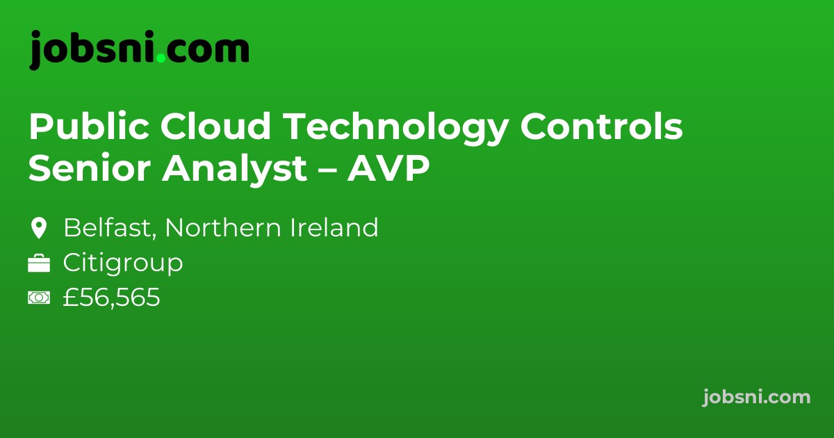 Public Cloud Technology Controls Senior Analyst – AVP