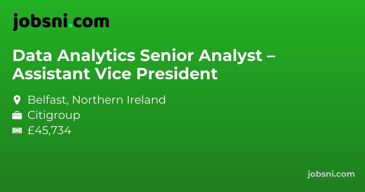 Data Analytics Senior Analyst – Assistant Vice President