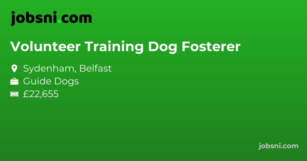 Volunteer Training Dog Fosterer