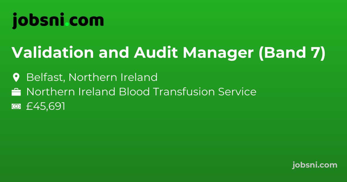 Validation and Audit Manager (Band 7)