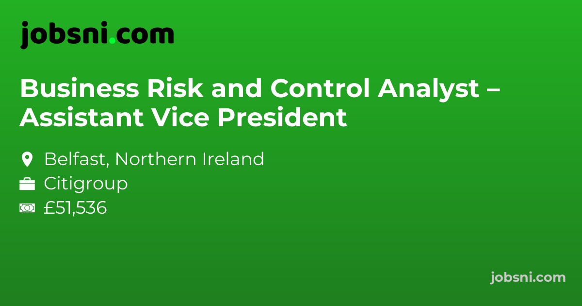 Business Risk and Control Analyst – Assistant Vice President