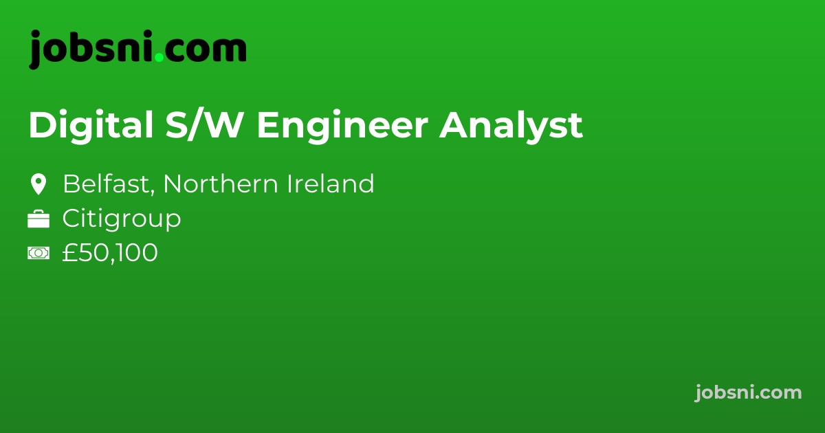 Digital S/W Engineer Analyst