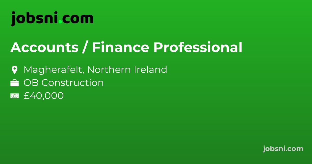 Accounts / Finance Professional
