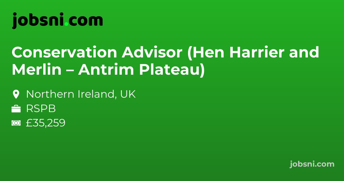 Conservation Advisor (Hen Harrier and Merlin – Antrim Plateau)