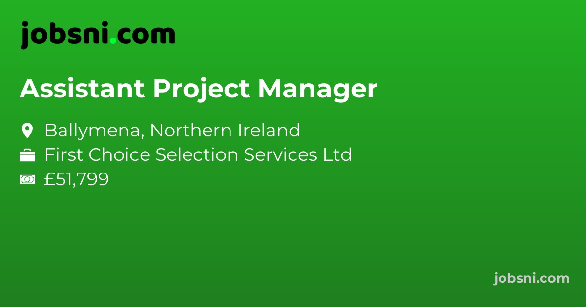 Assistant Project Manager