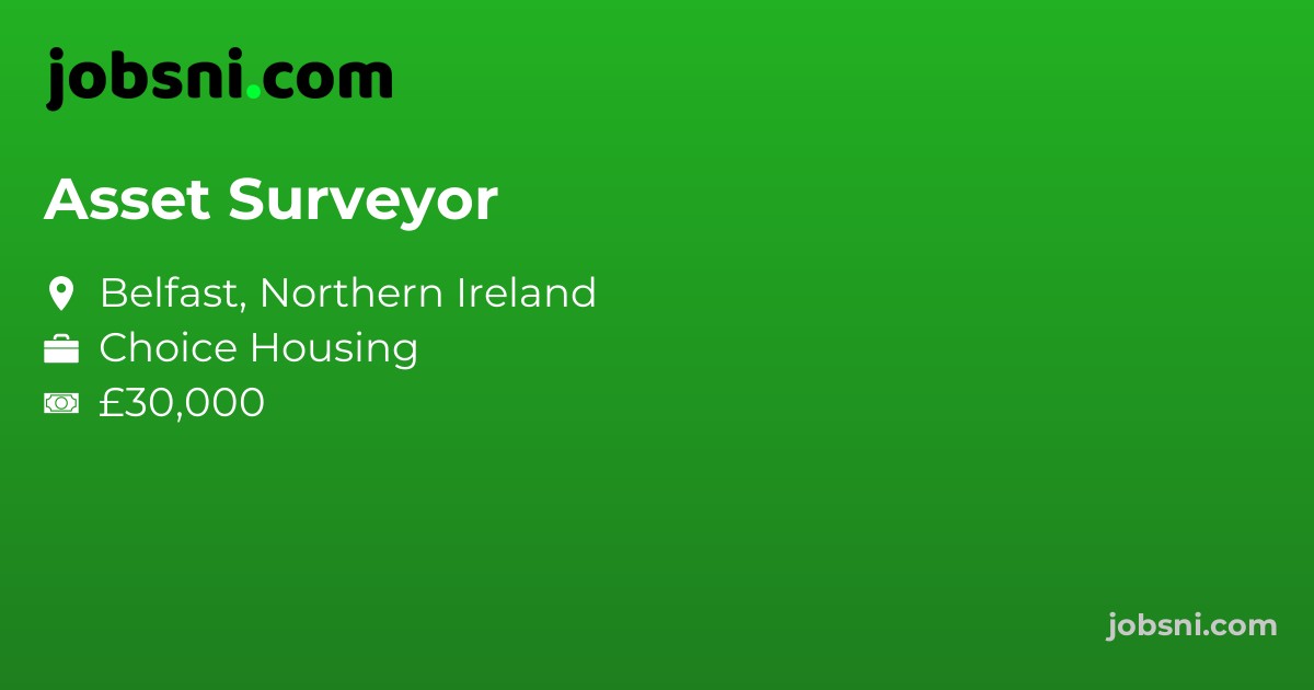 Asset Surveyor