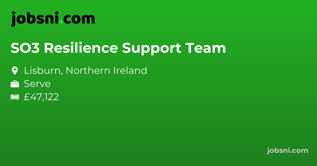 SO3 Resilience Support Team