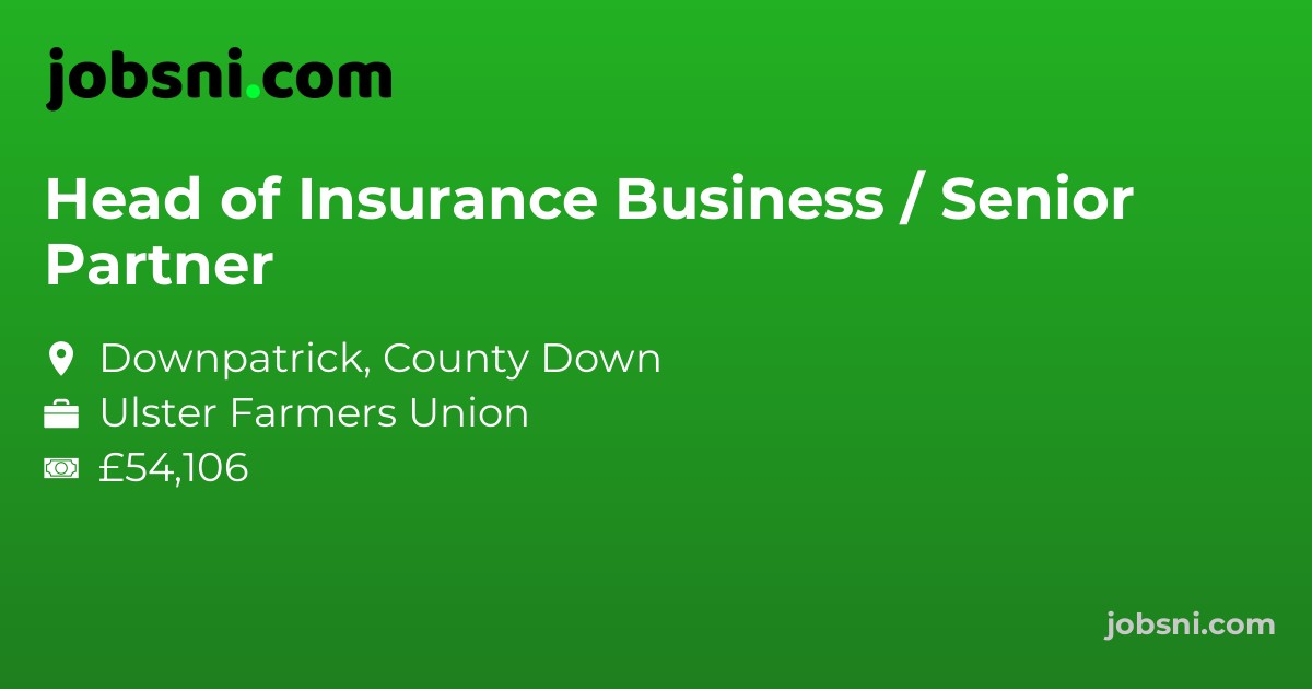 Head of Insurance Business / Senior Partner