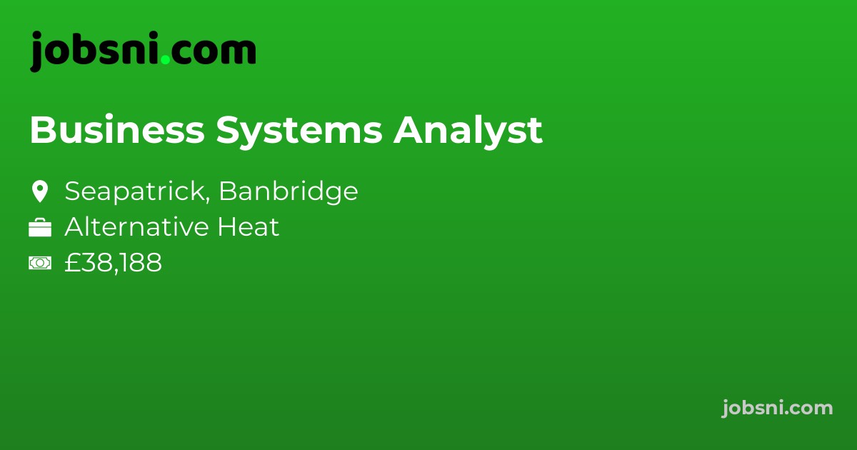 Business Systems Analyst