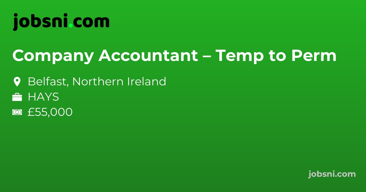 Company Accountant – Temp to Perm