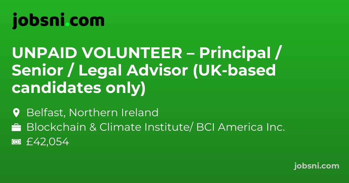 UNPAID VOLUNTEER – Principal / Senior / Legal Advisor (UK-based candidates only)