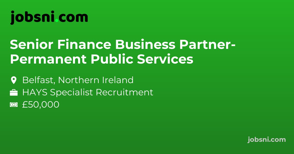 Senior Finance Business Partner- Permanent Public Services