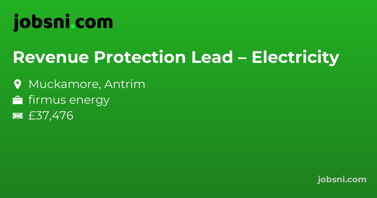 Revenue Protection Lead – Electricity