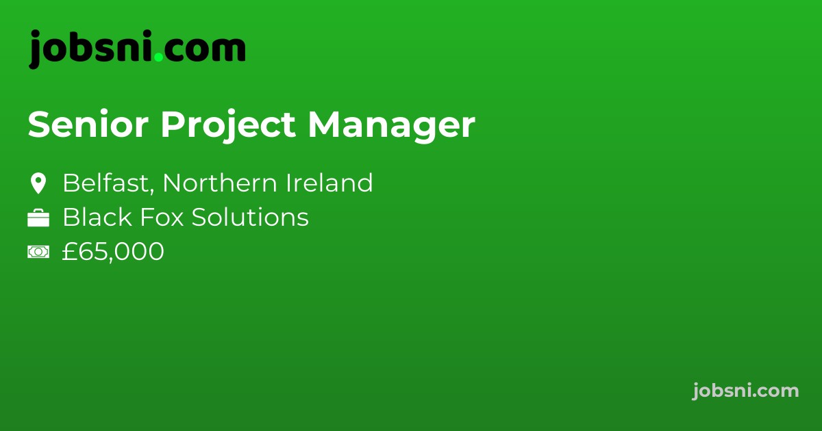 Senior Project Manager