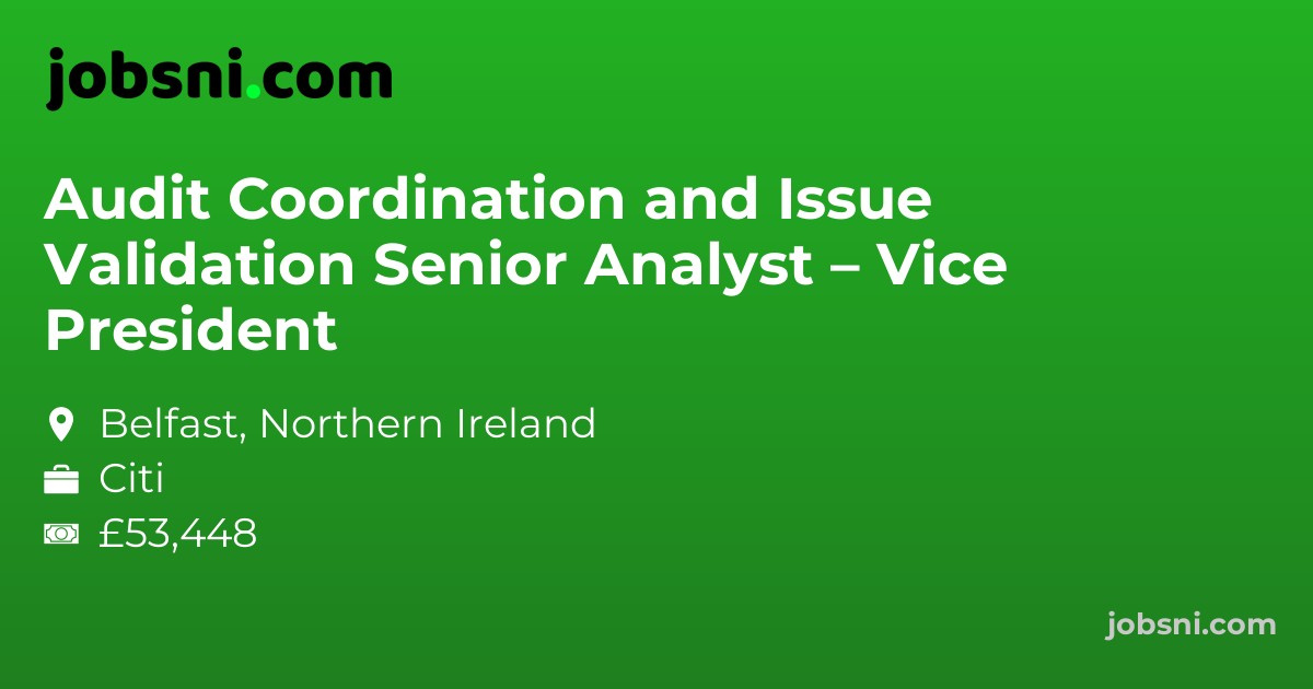 Audit Coordination and Issue Validation Senior Analyst – Vice President