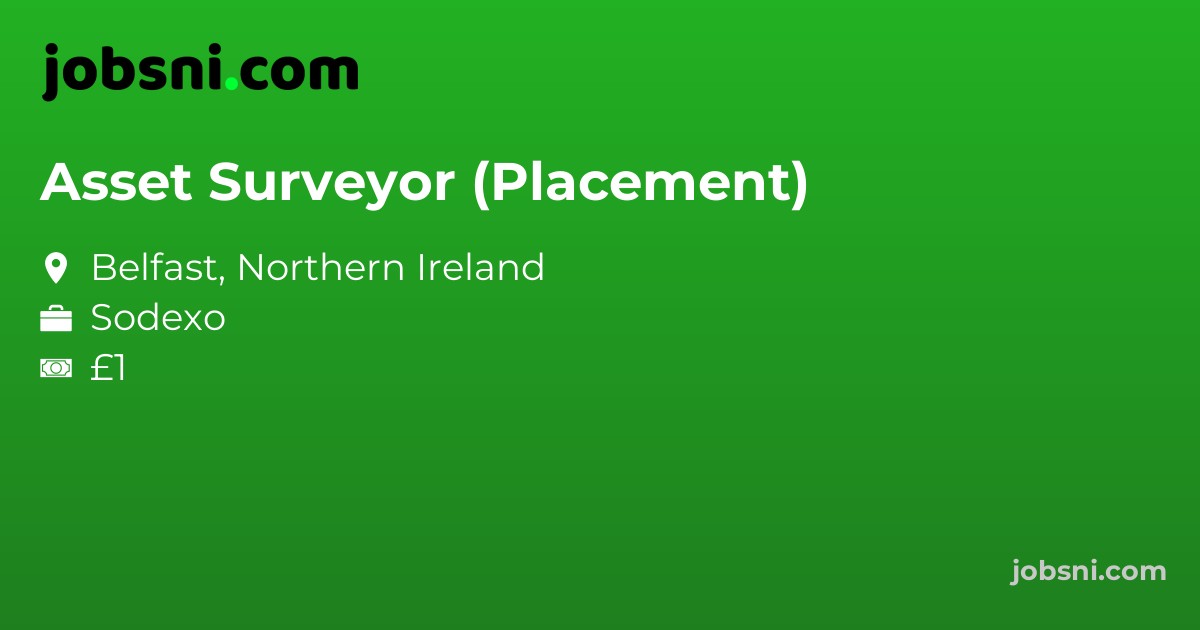 Asset Surveyor (Placement)