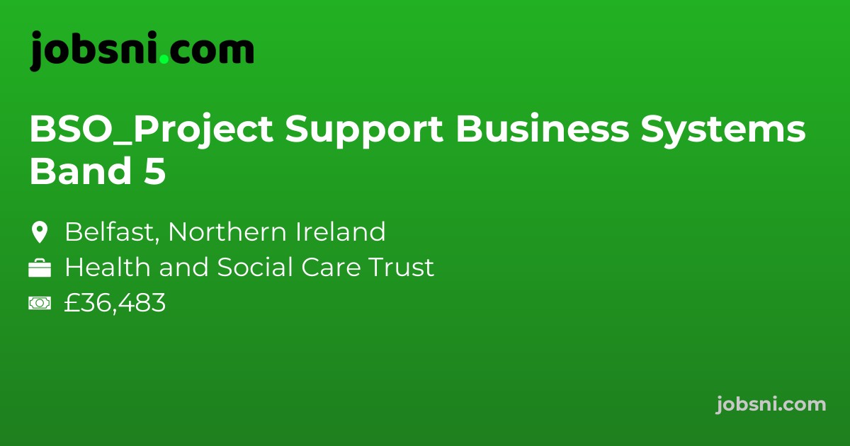 BSO_Project Support Business Systems Band 5