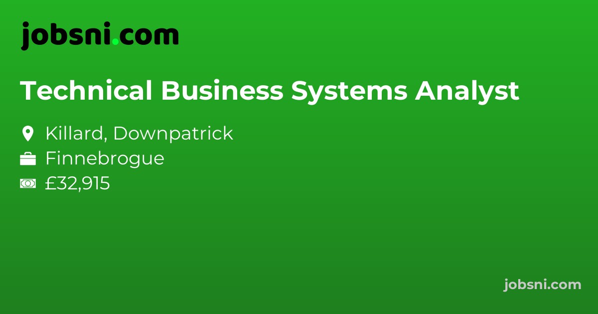 Technical Business Systems Analyst
