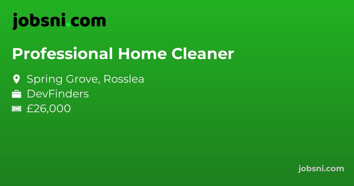 Professional Home Cleaner
