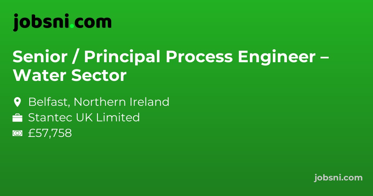 Senior / Principal Process Engineer – Water Sector